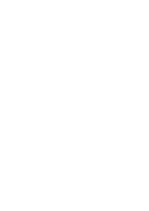 New Zealand icon